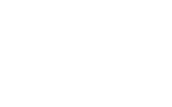 W4FSU Logo in White